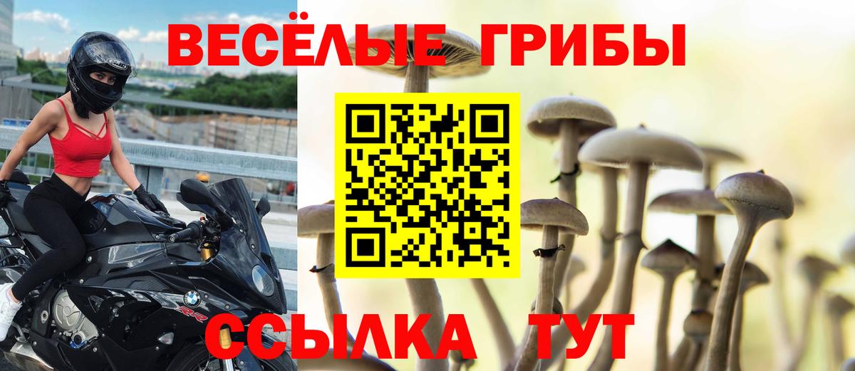 Псилоцибиновые грибы мухоморы Великий Устюг