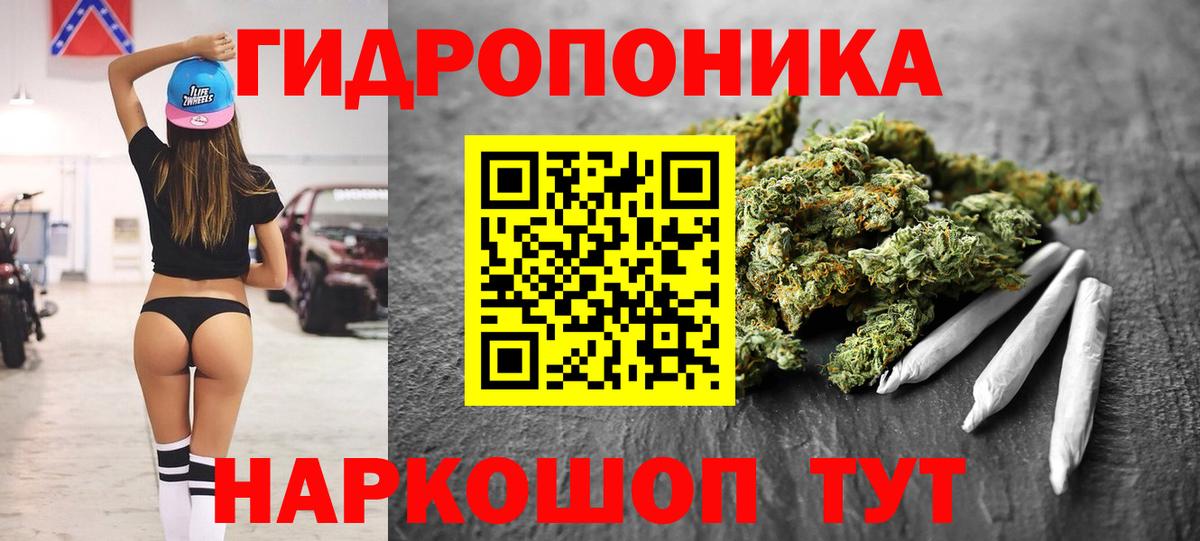 Конопля ГИДРОПОН  Вход с VPN  Каннабис VHQ  Великий Устюг  Канабис семена 